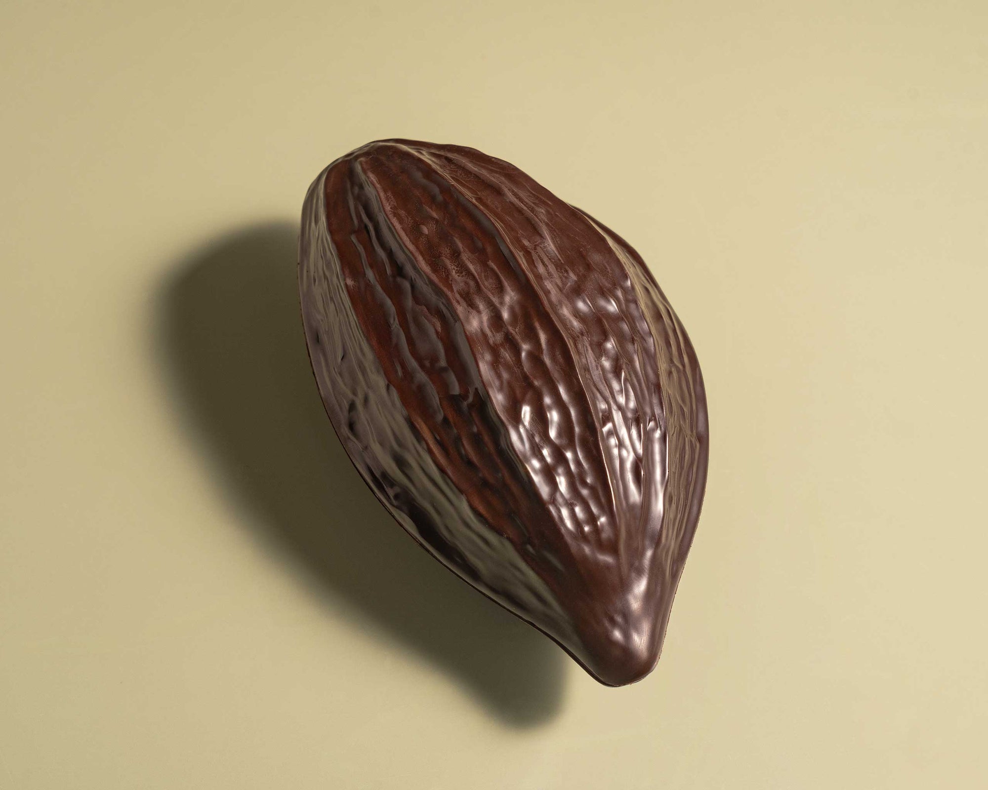 פול שוקולד ענק